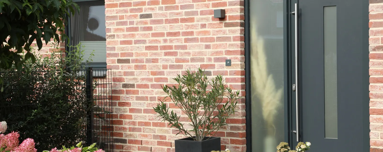 Klinkerfassade mit Olivenbaum im Pflanzkübel